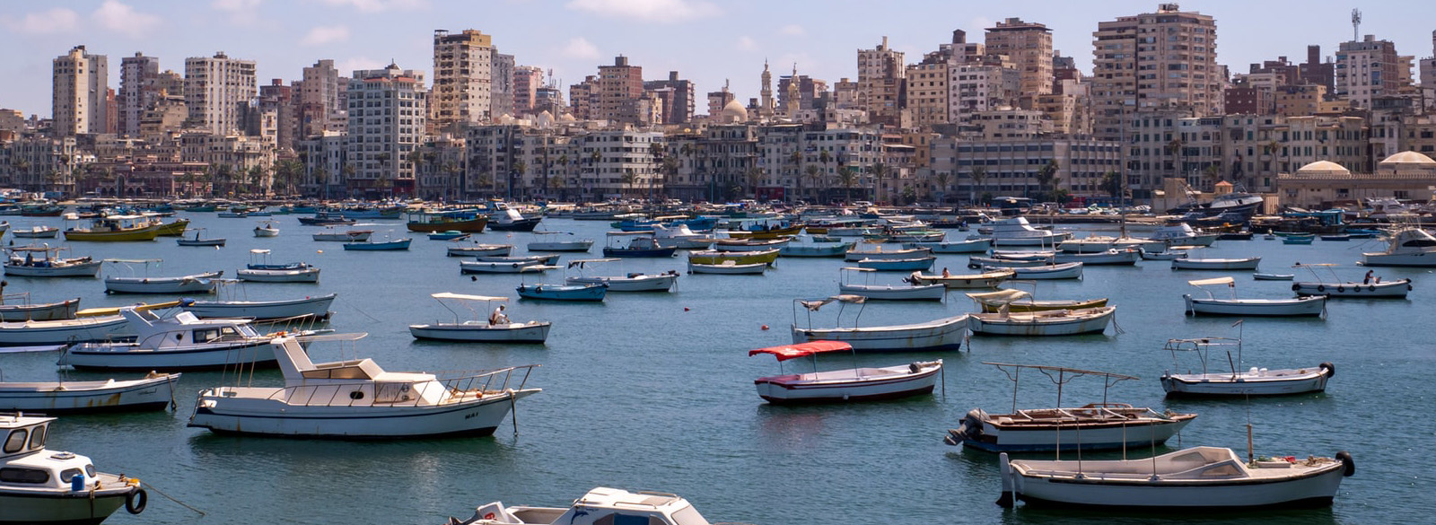 Alexandria excursion